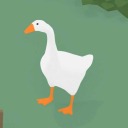 soft-forest-rain avatar