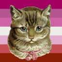 soft-wlw avatar