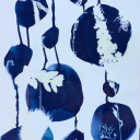 softandorsweet avatar