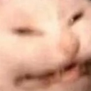 softbydanbodan avatar