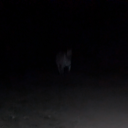 softfeelingsandangstywriting avatar