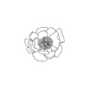 softsoftsoftsft avatar