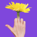 solar-lunar-punk avatar