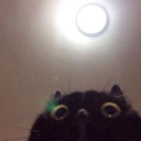 solecito-study avatar