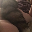 solipsismisme-blog avatar