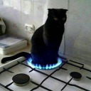 solitaryheaven00 avatar