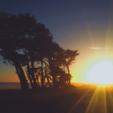 solitaryreflections avatar