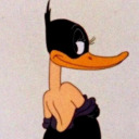 solitarystickofcelery avatar