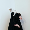 sombre-elderberry avatar