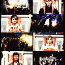 some-where-new avatar