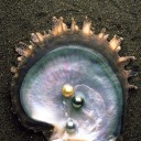 someesotericbullshit avatar