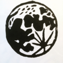 somesortofabstractcat avatar