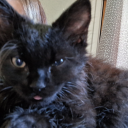 somethingextraspecialaboutme avatar