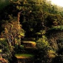 somethinghorrible avatar