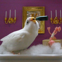 somethingoddlyartsy avatar