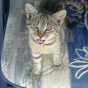 somethingstrangeinmymind avatar