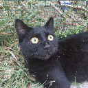 sometimes-i-write-4-you avatar