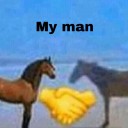 somewhat-former-horse-girl avatar