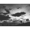 somos-poesia-en-letras avatar