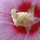 sonderbar1930 avatar