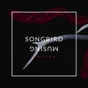 songbird-musing avatar