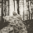 songbirdsweresinging avatar