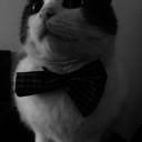 sonrisas-de-humo avatar