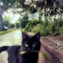 sonrisasperpetuas avatar