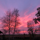 sophie-rohwedder avatar