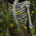 sophieteiknar avatar