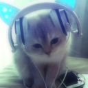 sosweetsolonely avatar