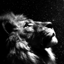 soulmatthmaybeinanotherlife avatar