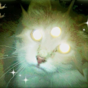 soupofcryptids avatar