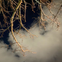 sourdoughloaf avatar