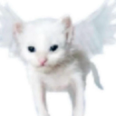 soutaiseiriron avatar