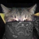 soyboyanarchy avatar