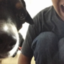 soyunpececito avatar