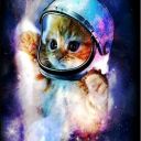 space-catsun avatar