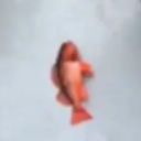 space-fish-kid avatar