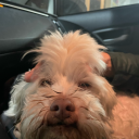 space-themed-unhinged-art-dump avatar