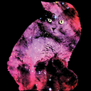 spacecatmasterpiece avatar