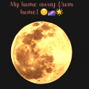 spacedout-chick avatar