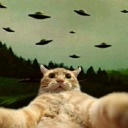 spaceferalcat avatar