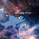 spacesharkwashere avatar