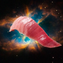 spacesushipic-blog avatar