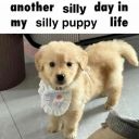 spamtongreal1 avatar