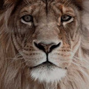 spareoomwardrobe avatar