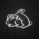 sparkledustmite avatar