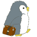 sparklesharkland avatar