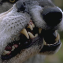 sparklingbongwatter avatar